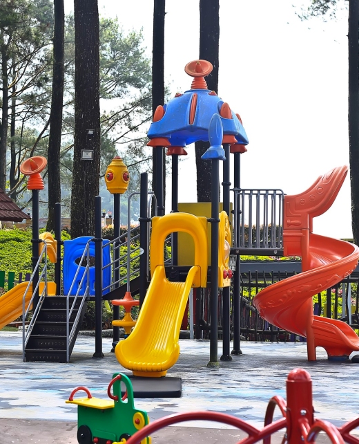 blurry-outdoor-playground-pine-forest